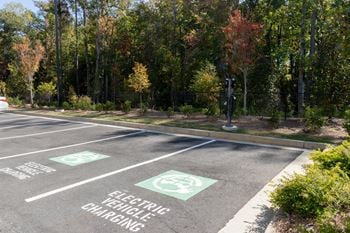 An empty parking lot with trees in the background